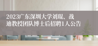 2023广东深圳大学刘琨、战迪教授团队博士后招聘1人公告