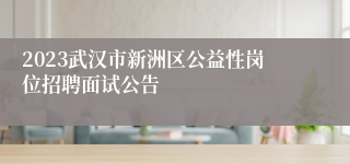 2023武汉市新洲区公益性岗位招聘面试公告