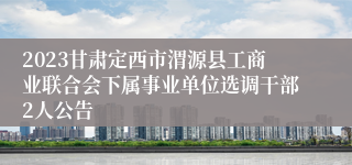 2023甘肃定西市渭源县工商业联合会下属事业单位选调干部2人公告