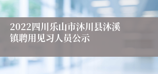 2022四川乐山市沐川县沐溪镇聘用见习人员公示