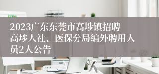 2023广东东莞市高埗镇招聘高埗人社、医保分局编外聘用人员2人公告