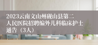 2023云南文山州砚山县第二人民医院招聘编外儿科临床护士通告（3人）