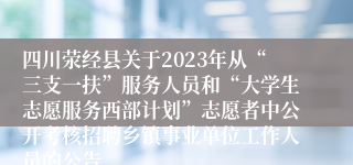 四川荥经县关于2023年从“三支一扶”服务人员和“大学生志愿服务西部计划”志愿者中公开考核招聘乡镇事业单位工作人员的公告