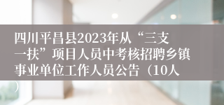 四川平昌县2023年从“三支一扶”项目人员中考核招聘乡镇事业单位工作人员公告（10人）