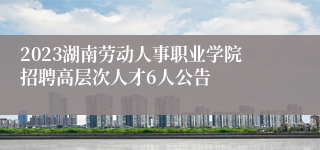 2023湖南劳动人事职业学院招聘高层次人才6人公告