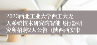 2023西北工业大学西工大无人系统技术研究院智能飞行器研究所招聘2人公告（陕西西安市）