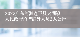 2023广东河源连平县大湖镇人民政府招聘编外人员2人公告