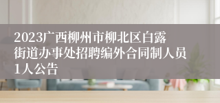 2023广西柳州市柳北区白露街道办事处招聘编外合同制人员1人公告