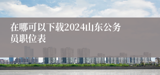 在哪可以下载2024山东公务员职位表