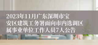 2023年11月广东深圳市宝安区建筑工务署面向市内选调区属事业单位工作人员7人公告