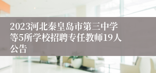 2023河北秦皇岛市第三中学等5所学校招聘专任教师19人公告