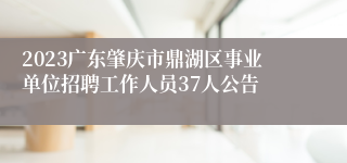 2023广东肇庆市鼎湖区事业单位招聘工作人员37人公告