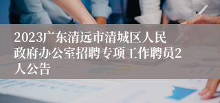 2023广东清远市清城区人民政府办公室招聘专项工作聘员2人公告