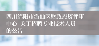 四川绵阳市游仙区财政投资评审中心  关于招聘专业技术人员的公告