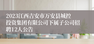 2023江西吉安市万安县城控投资集团有限公司下属子公司招聘12人公告