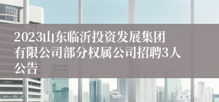 2023山东临沂投资发展集团有限公司部分权属公司招聘3人公告