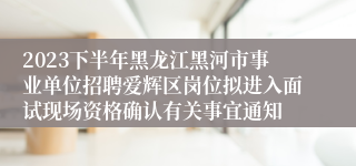 2023下半年黑龙江黑河市事业单位招聘爱辉区岗位拟进入面试现场资格确认有关事宜通知