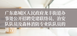 广东惠城区人民政府龙丰街道办事处公开招聘党建联络员、治安队队员及森林消防专业队队员的通告