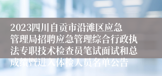 2023四川自贡市沿滩区应急管理局招聘应急管理综合行政执法专职技术检查员笔试面试和总成绩暨进入体检人员名单公告