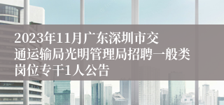 2023年11月广东深圳市交通运输局光明管理局招聘一般类岗位专干1人公告