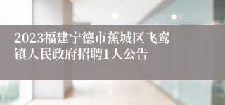 2023福建宁德市蕉城区飞鸾镇人民政府招聘1人公告