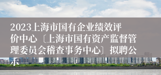 2023上海市国有企业绩效评价中心〔上海市国有资产监督管理委员会稽查事务中心〕拟聘公示