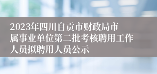 2023年四川自贡市财政局市属事业单位第二批考核聘用工作人员拟聘用人员公示