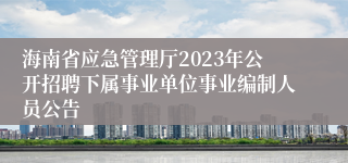 海南省应急管理厅2023年公开招聘下属事业单位事业编制人员公告