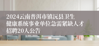 2024云南普洱市镇沅县卫生健康系统事业单位急需紧缺人才招聘20人公告