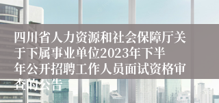 四川省人力资源和社会保障厅关于下属事业单位2023年下半年公开招聘工作人员面试资格审查的公告