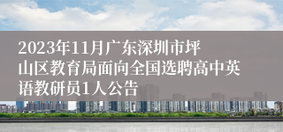 2023年11月广东深圳市坪山区教育局面向全国选聘高中英语教研员1人公告