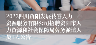 2023四川资阳发展苌睿人力资源服务有限公司招聘资阳市人力资源和社会保障局劳务派遣人员1人公告