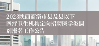 2023陕西商洛市县及县以下医疗卫生机构定向招聘医学类调剂报名工作公告