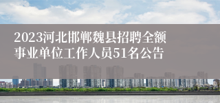 2023河北邯郸魏县招聘全额事业单位工作人员51名公告
