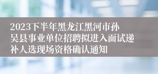 2023下半年黑龙江黑河市孙吴县事业单位招聘拟进入面试递补人选现场资格确认通知