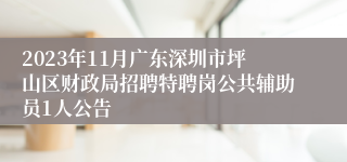 2023年11月广东深圳市坪山区财政局招聘特聘岗公共辅助员1人公告