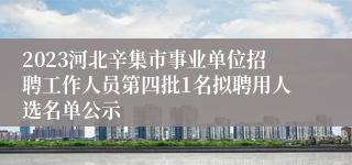 2023河北辛集市事业单位招聘工作人员第四批1名拟聘用人选名单公示