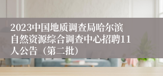 2023中国地质调查局哈尔滨自然资源综合调查中心招聘11人公告（第二批）