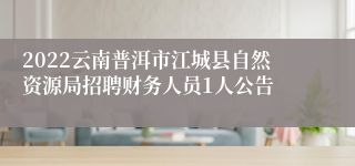 2022云南普洱市江城县自然资源局招聘财务人员1人公告