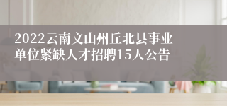 2022云南文山州丘北县事业单位紧缺人才招聘15人公告