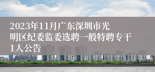 2023年11月广东深圳市光明区纪委监委选聘一般特聘专干1人公告