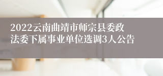 2022云南曲靖市师宗县委政法委下属事业单位选调3人公告