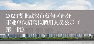 2023湖北武汉市蔡甸区部分事业单位招聘拟聘用人员公示（第一批）