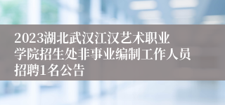 2023湖北武汉江汉艺术职业学院招生处非事业编制工作人员招聘1名公告