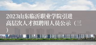 2023山东临沂职业学院引进高层次人才拟聘用人员公示（三）