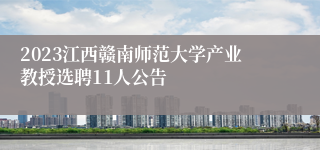 2023江西赣南师范大学产业教授选聘11人公告