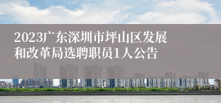 2023广东深圳市坪山区发展和改革局选聘职员1人公告