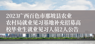 2023广西百色市那坡县农业农村局就业见习基地补充招募高校毕业生就业见习人员2人公告