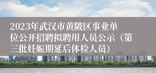 2023年武汉市黄陂区事业单位公开招聘拟聘用人员公示（第三批妊娠期延后体检人员）