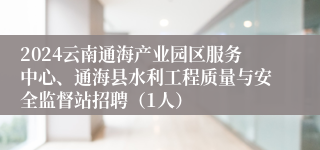 2024云南通海产业园区服务中心、通海县水利工程质量与安全监督站招聘（1人）